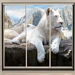 Шкаф-купе Лев BMS - Фото 11